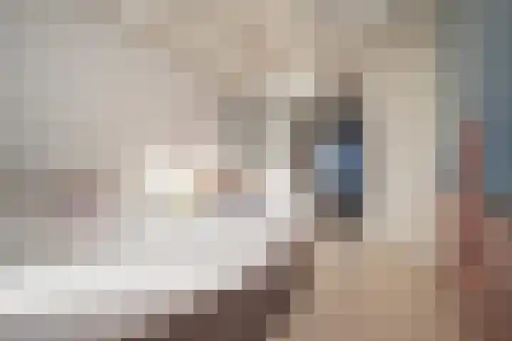 Albert Margrypad 4 Bergschenhoek thumbnail 48