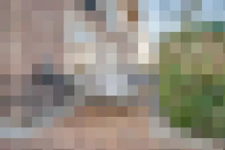 Albert Margrypad 4 Bergschenhoek thumbnail 5