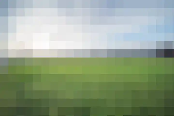 Albert Margrypad 4 Bergschenhoek thumbnail 58