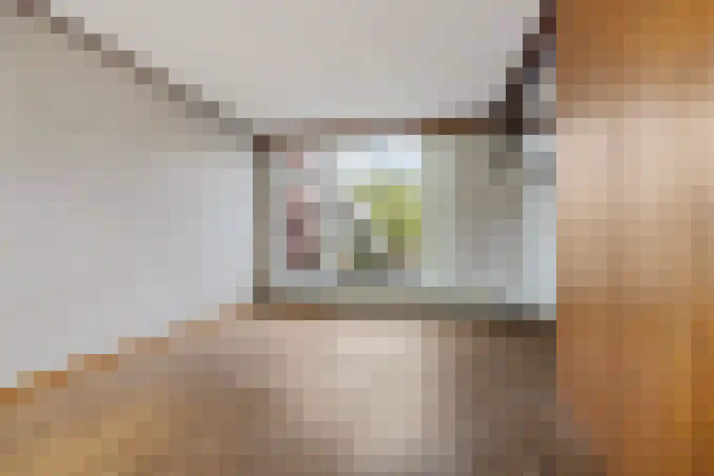 Albert Meijeringstraat 72 Enschede thumbnail 7