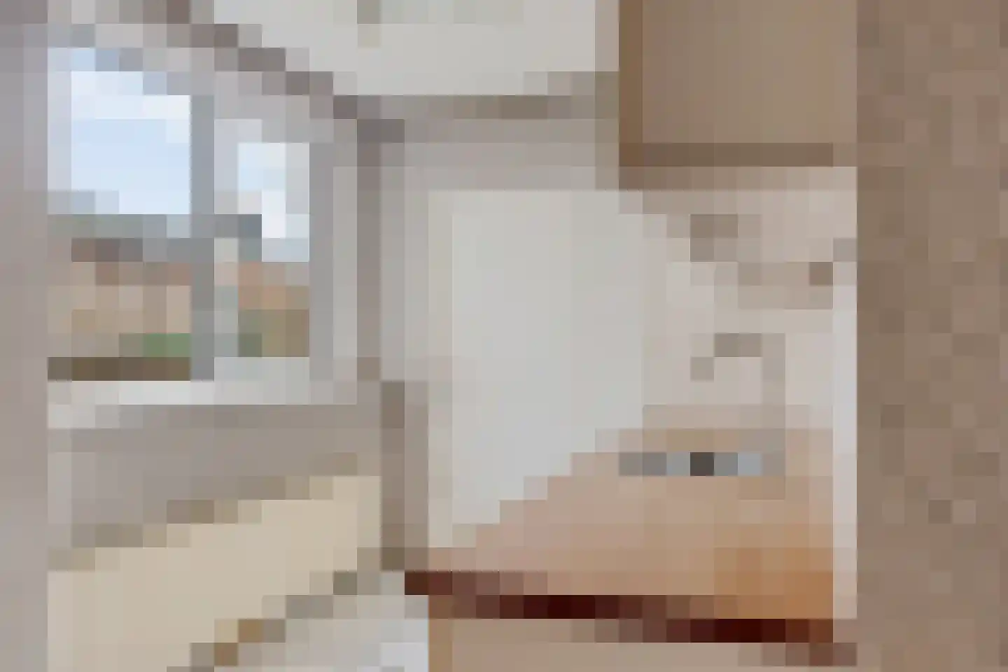 Albert Meijeringstraat 72 Enschede thumbnail 9