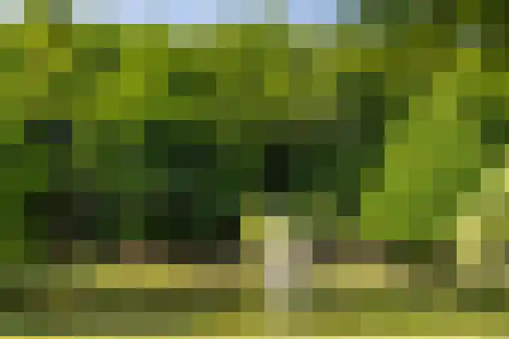 Albert Neuhuyslaan 23 Nunspeet thumbnail 10
