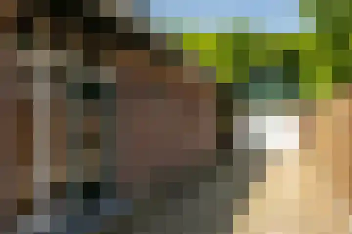 Albert Neuhuyslaan 23 Nunspeet thumbnail 11