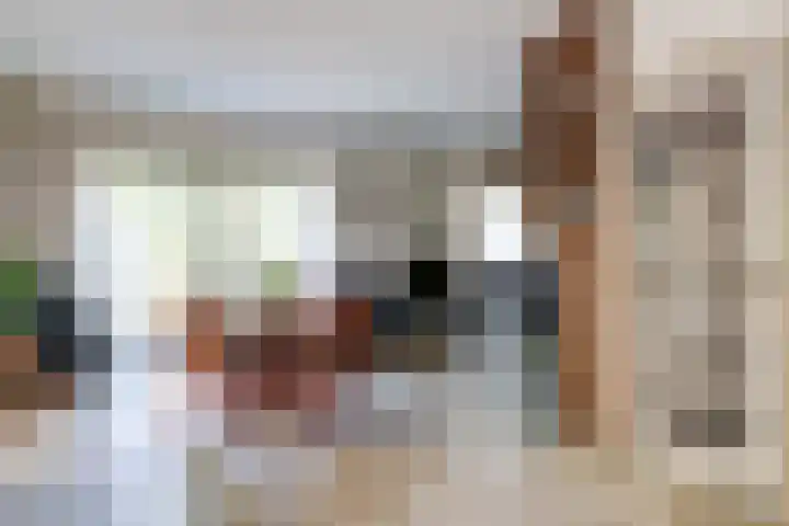 Albert Neuhuyslaan 23 Nunspeet thumbnail 13