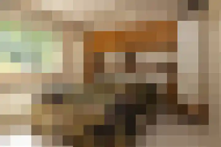 Albert Neuhuyslaan 23 Nunspeet thumbnail 24