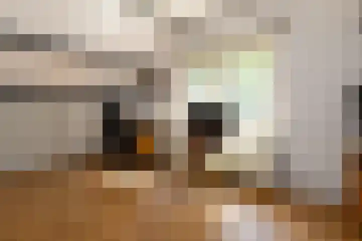 Albert Neuhuyslaan 23 Nunspeet thumbnail 30