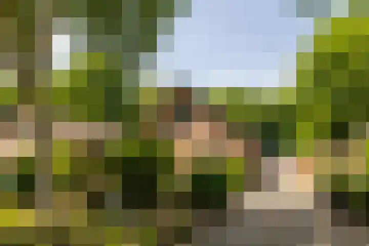 Albert Neuhuyslaan 23 Nunspeet thumbnail 35