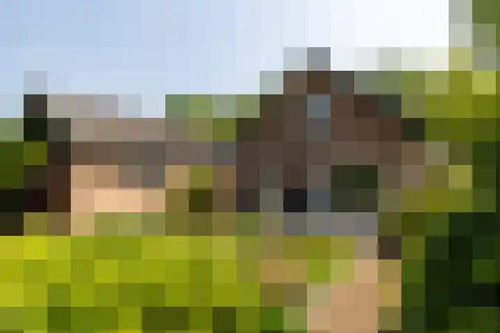 Albert Neuhuyslaan 23 Nunspeet thumbnail 36