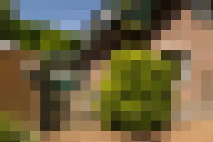 Albert Neuhuyslaan 23 Nunspeet thumbnail 37