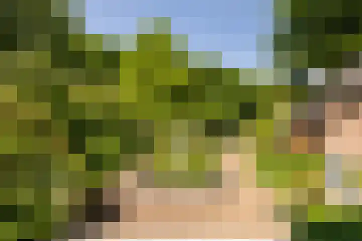 Albert Neuhuyslaan 23 Nunspeet thumbnail 38