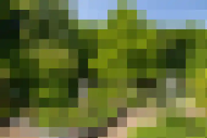 Albert Neuhuyslaan 23 Nunspeet thumbnail 39