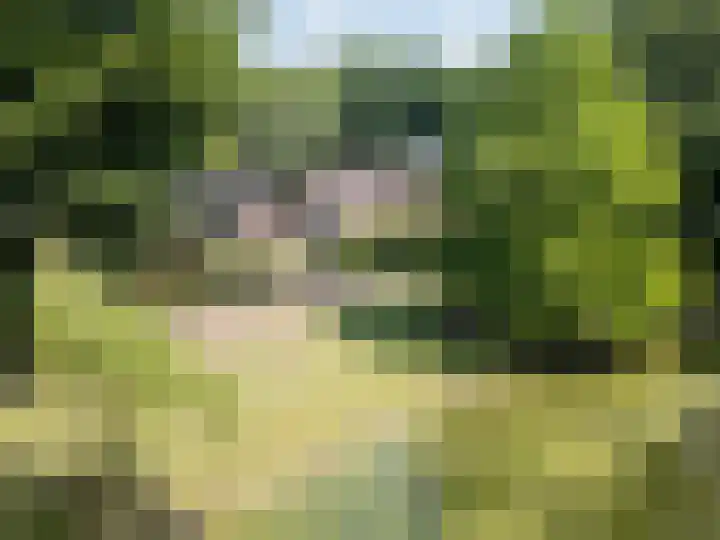 Albert Neuhuyslaan 23 Nunspeet thumbnail 4