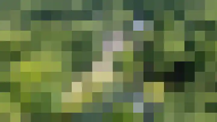 Albert Neuhuyslaan 23 Nunspeet thumbnail 41