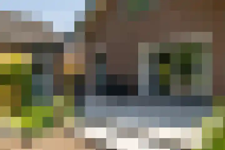 Albert Neuhuyslaan 23 Nunspeet thumbnail 6