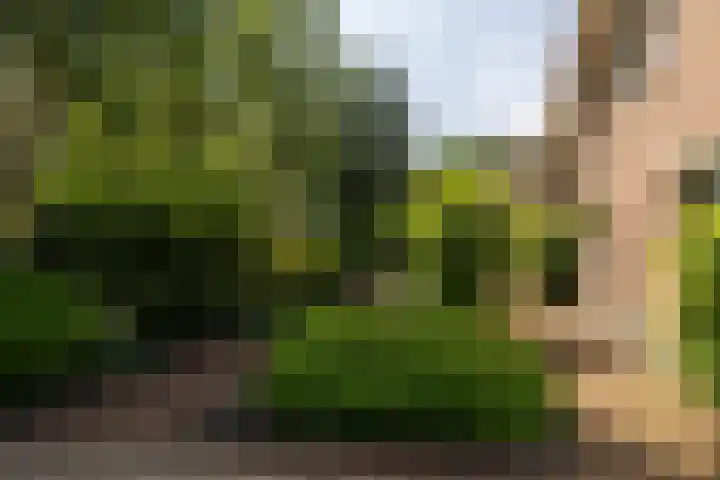 Albert Neuhuyslaan 23 Nunspeet thumbnail 7