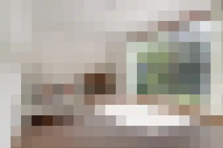 Albert Neuhuyslaan 29 Nunspeet thumbnail 15