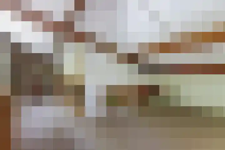 Albert Neuhuyslaan 29 Nunspeet thumbnail 18