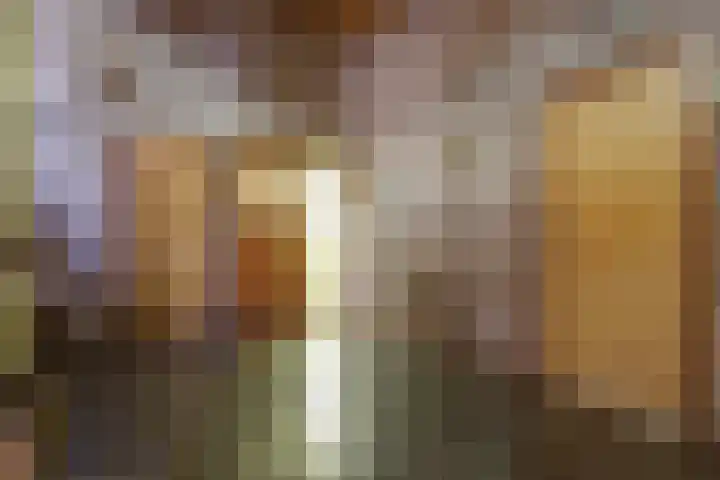 Albert Neuhuyslaan 29 Nunspeet thumbnail 20