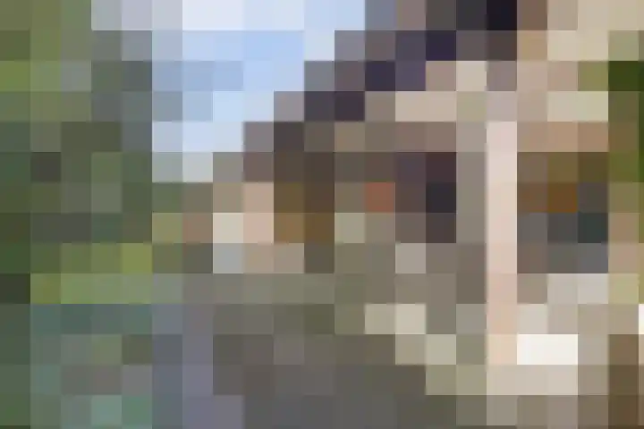 Albert Neuhuyslaan 29 Nunspeet thumbnail 29