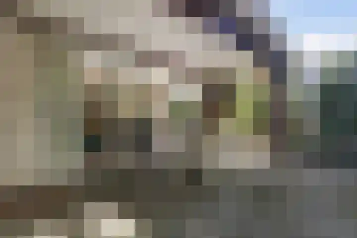 Albert Neuhuyslaan 29 Nunspeet thumbnail 30