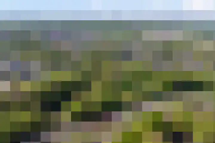 Albert Neuhuyslaan 29 Nunspeet thumbnail 37