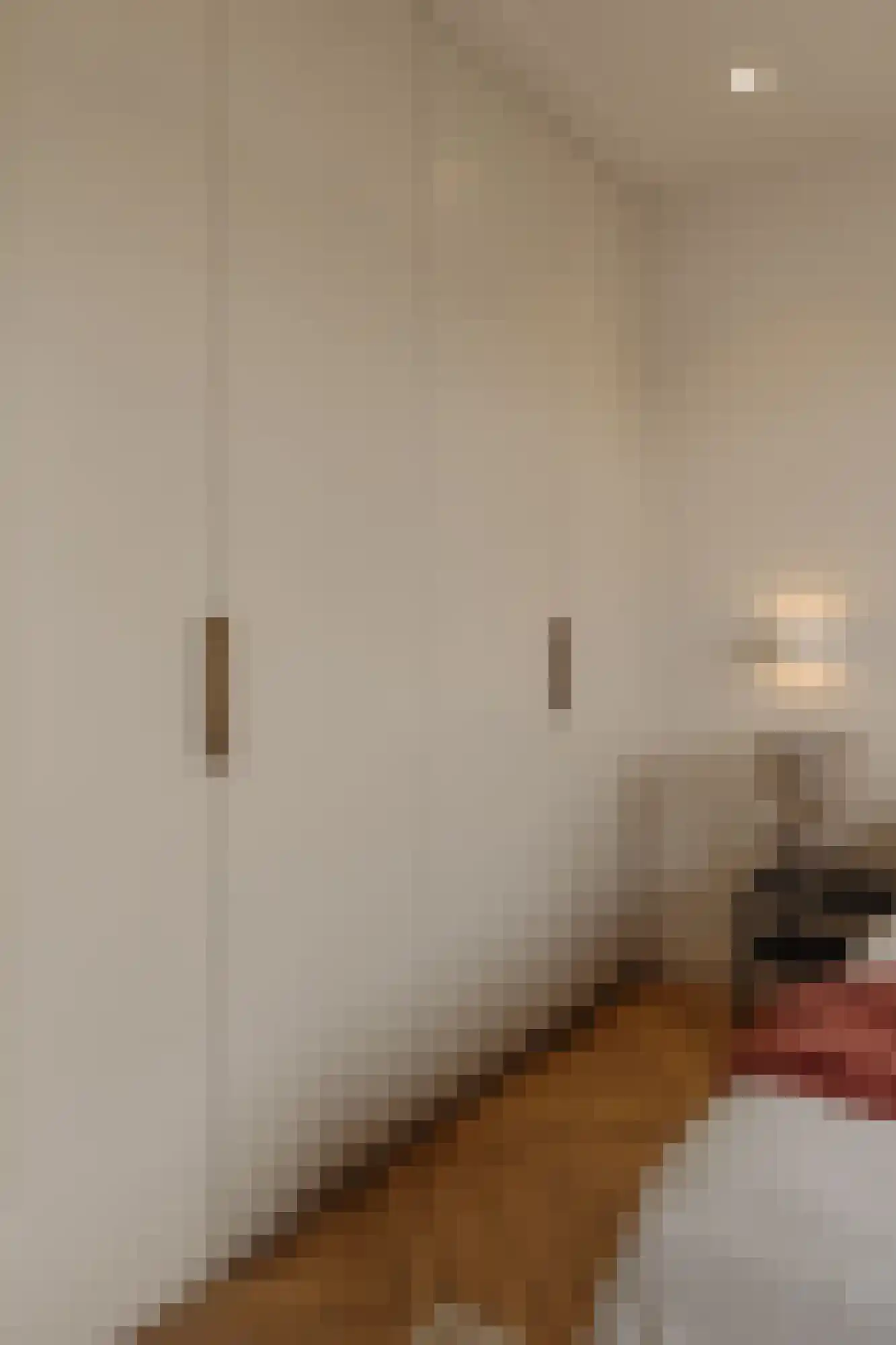Albert Neuhuysstraat 14 3 Amsterdam thumbnail 16