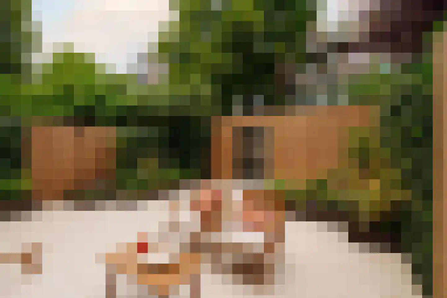 Albert Neuhuysstraat 14 3 Amsterdam thumbnail 24