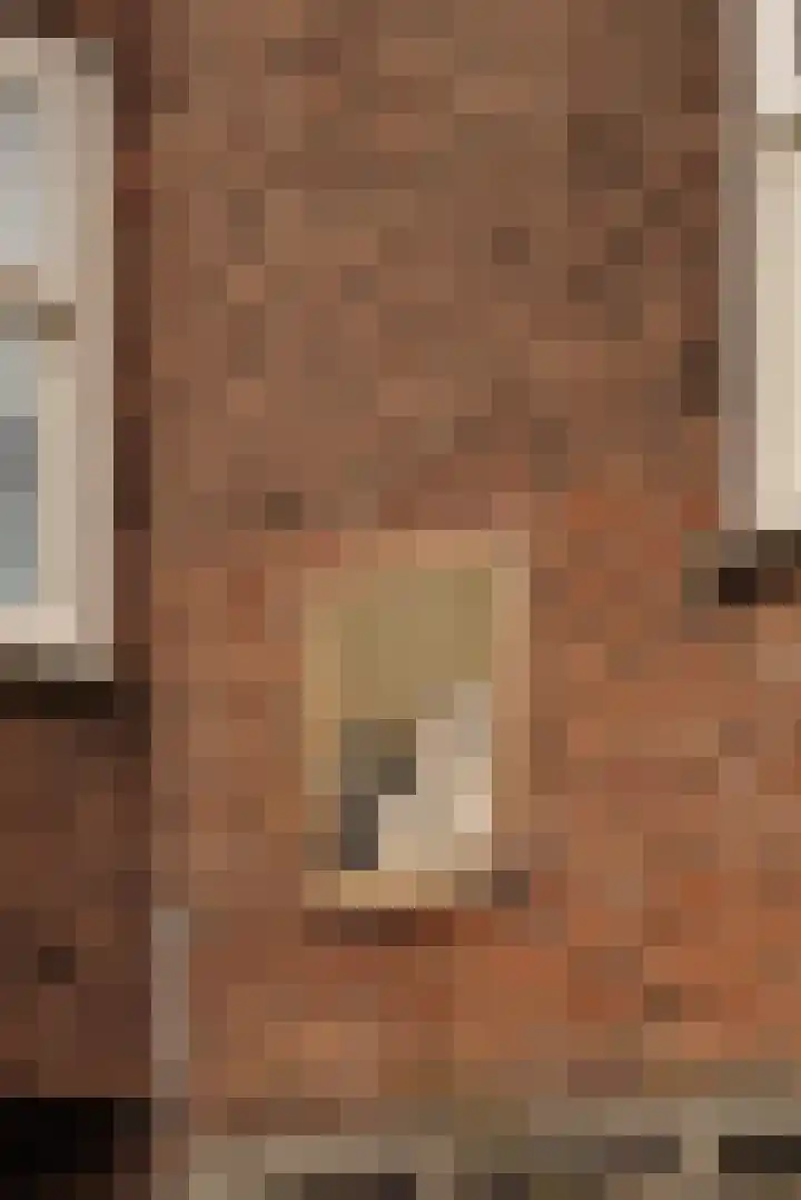 Albert Neuhuysstraat 14 3 Amsterdam thumbnail 24