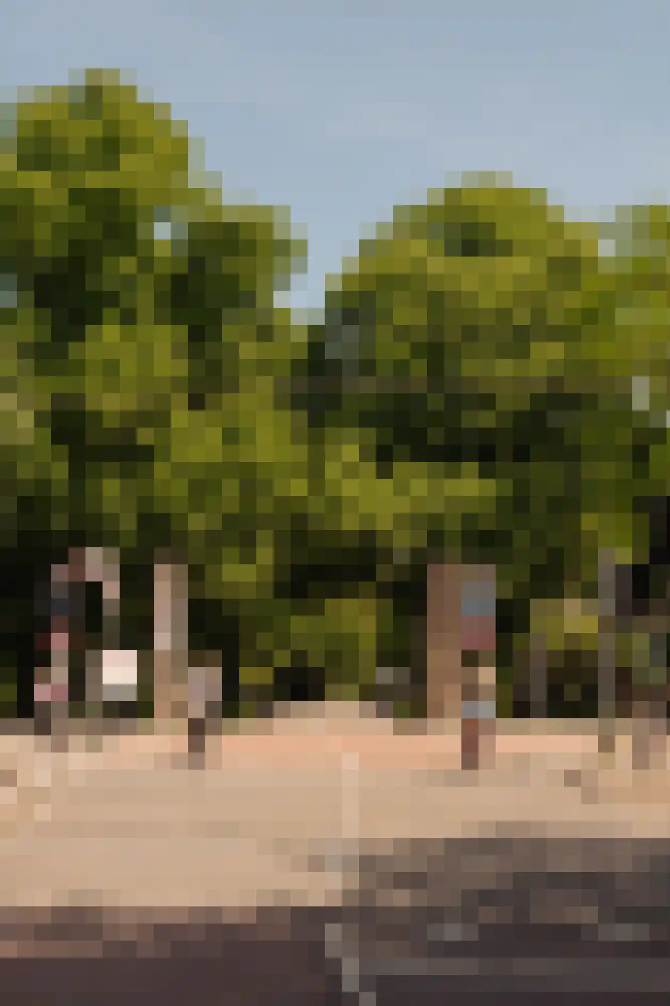 Albert Neuhuysstraat 14 H Amsterdam thumbnail 37
