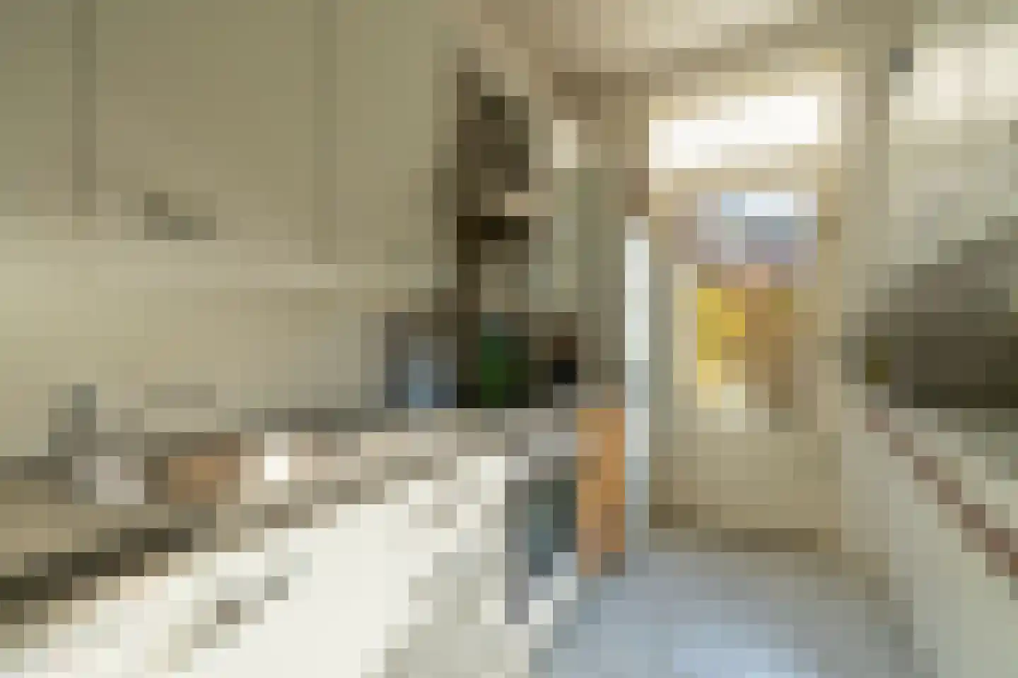 Albert Neuhuysstraat 2 A Utrecht thumbnail 10