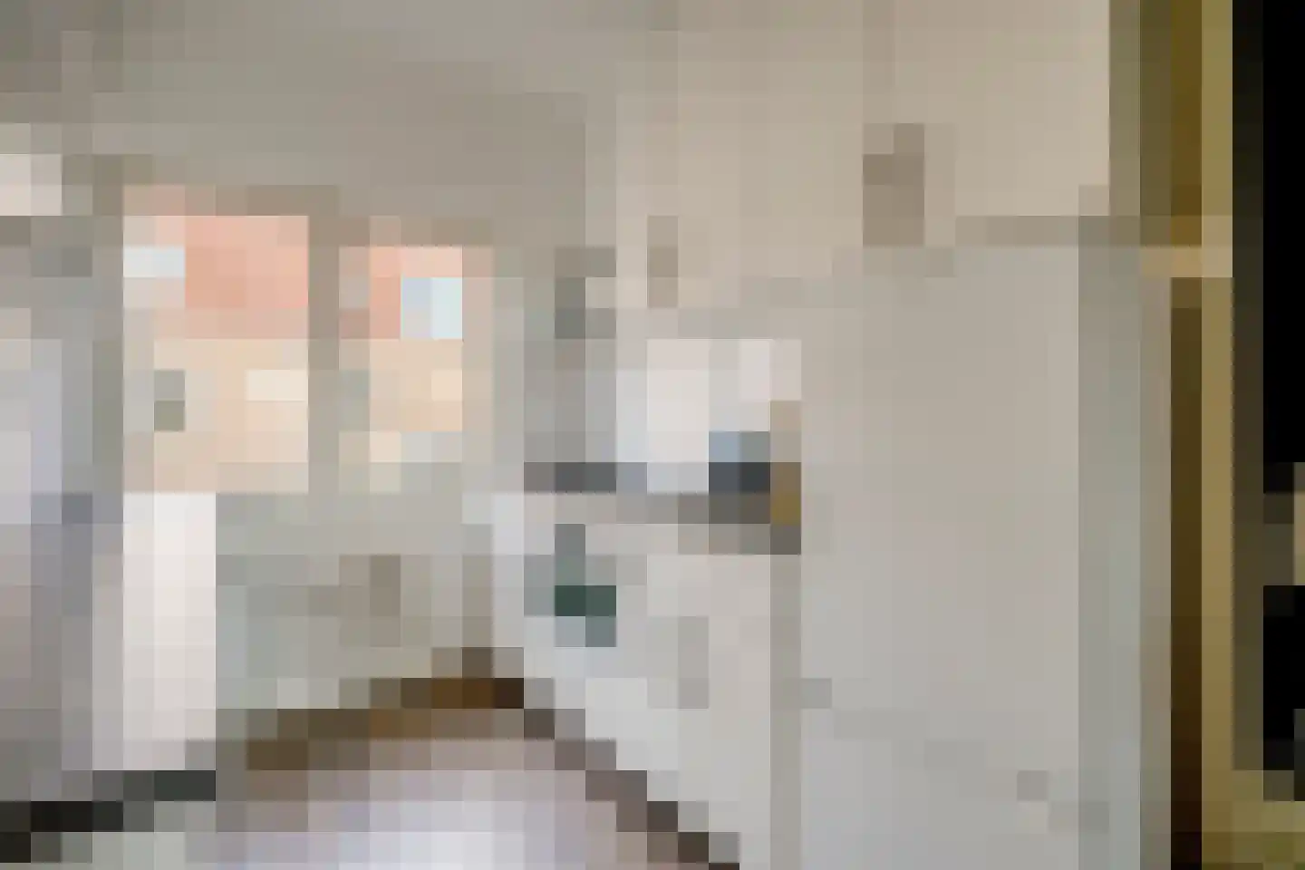 Albert Neuhuysstraat 2 A Utrecht thumbnail 24