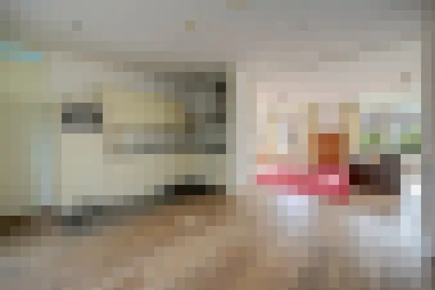 Albert Neuhuysstraat 2 Baarlo thumbnail 14
