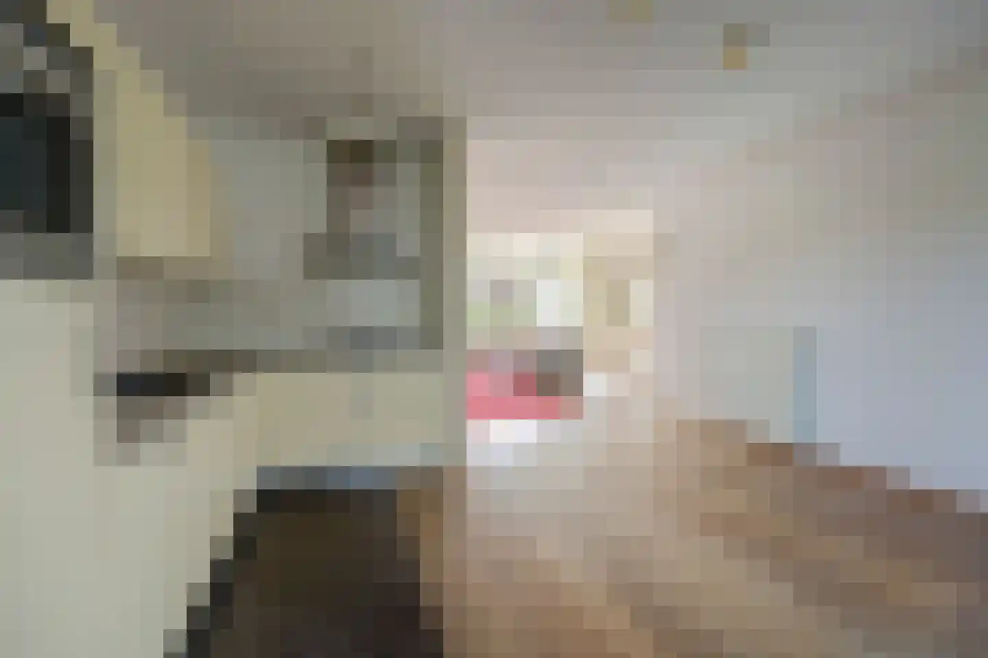 Albert Neuhuysstraat 2 Baarlo thumbnail 15