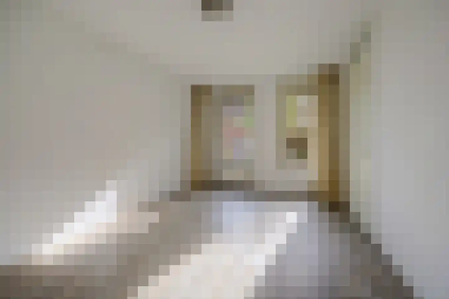 Albert Neuhuysstraat 2 Baarlo thumbnail 21