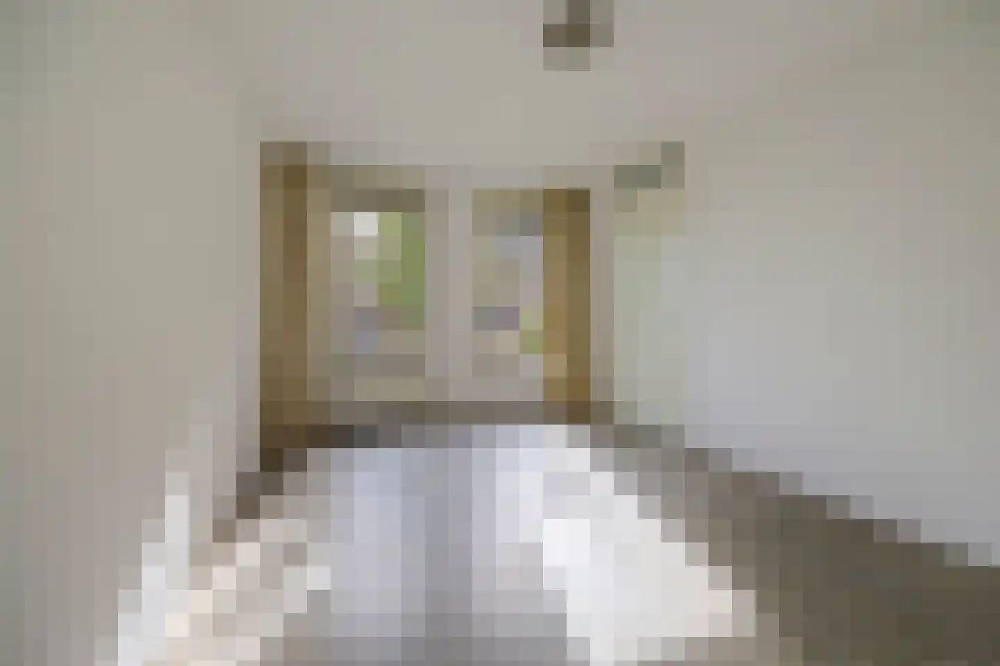 Albert Neuhuysstraat 2 Baarlo thumbnail 22