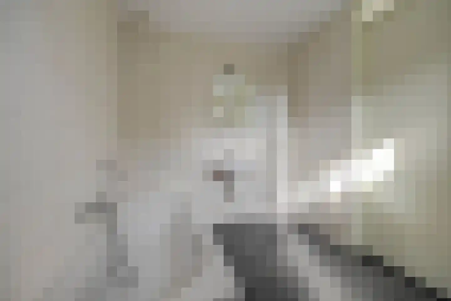 Albert Neuhuysstraat 2 Baarlo thumbnail 25