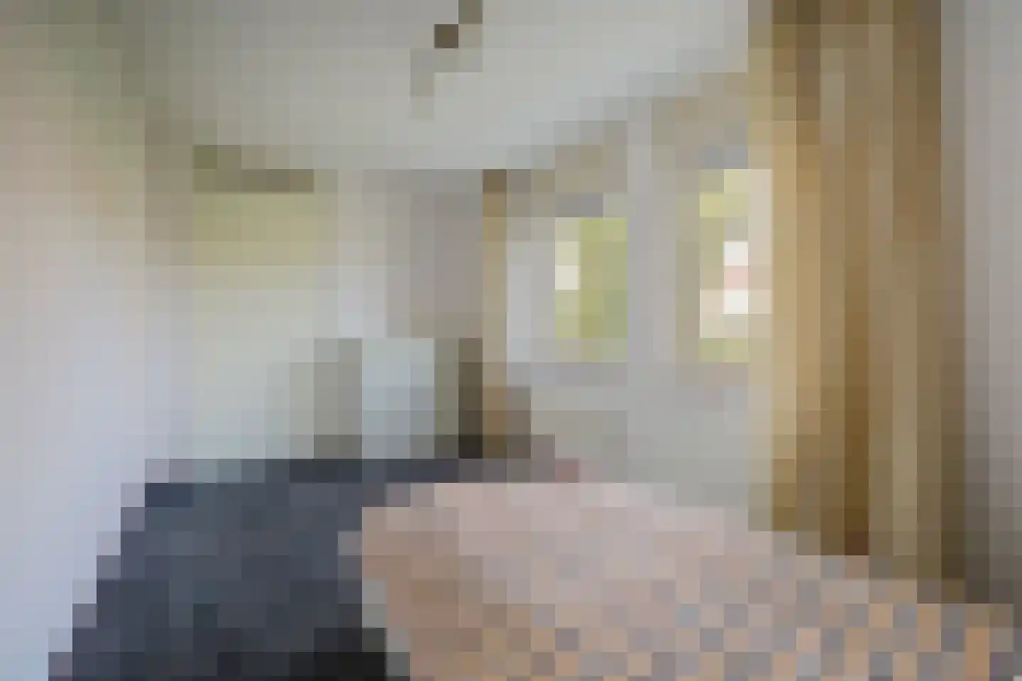 Albert Neuhuysstraat 2 Baarlo thumbnail 33