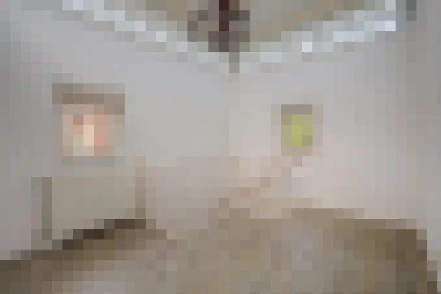 Albert Neuhuysstraat 2 Baarlo thumbnail 44