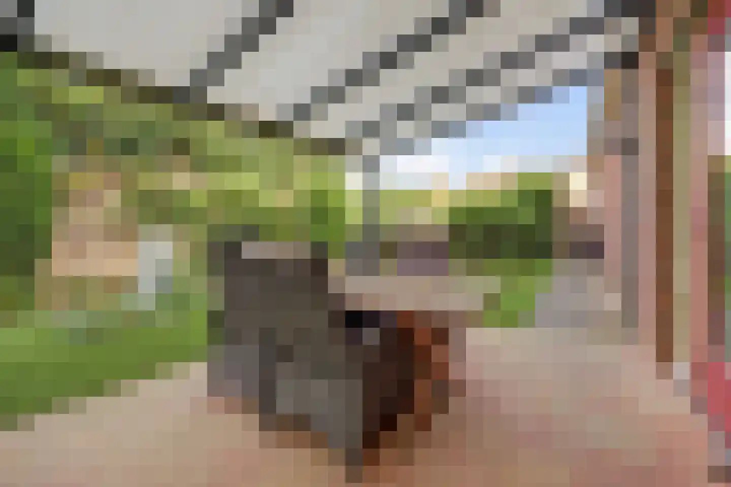 Albert Neuhuysstraat 2 Baarlo thumbnail 52