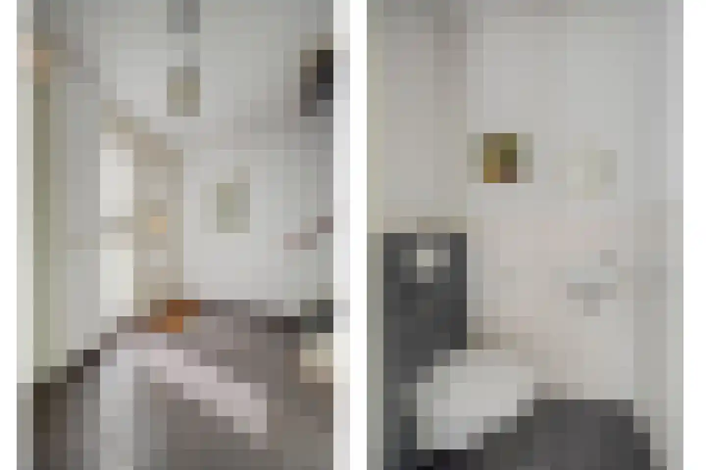 Albert Neuhuysstraat 2 Baarlo thumbnail 6