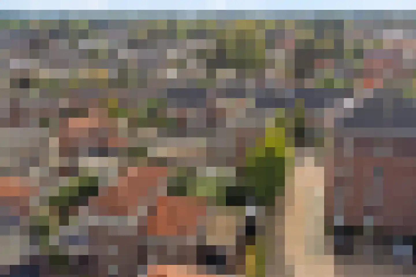 Albert Neuhuysstraat 2 Baarlo thumbnail 64