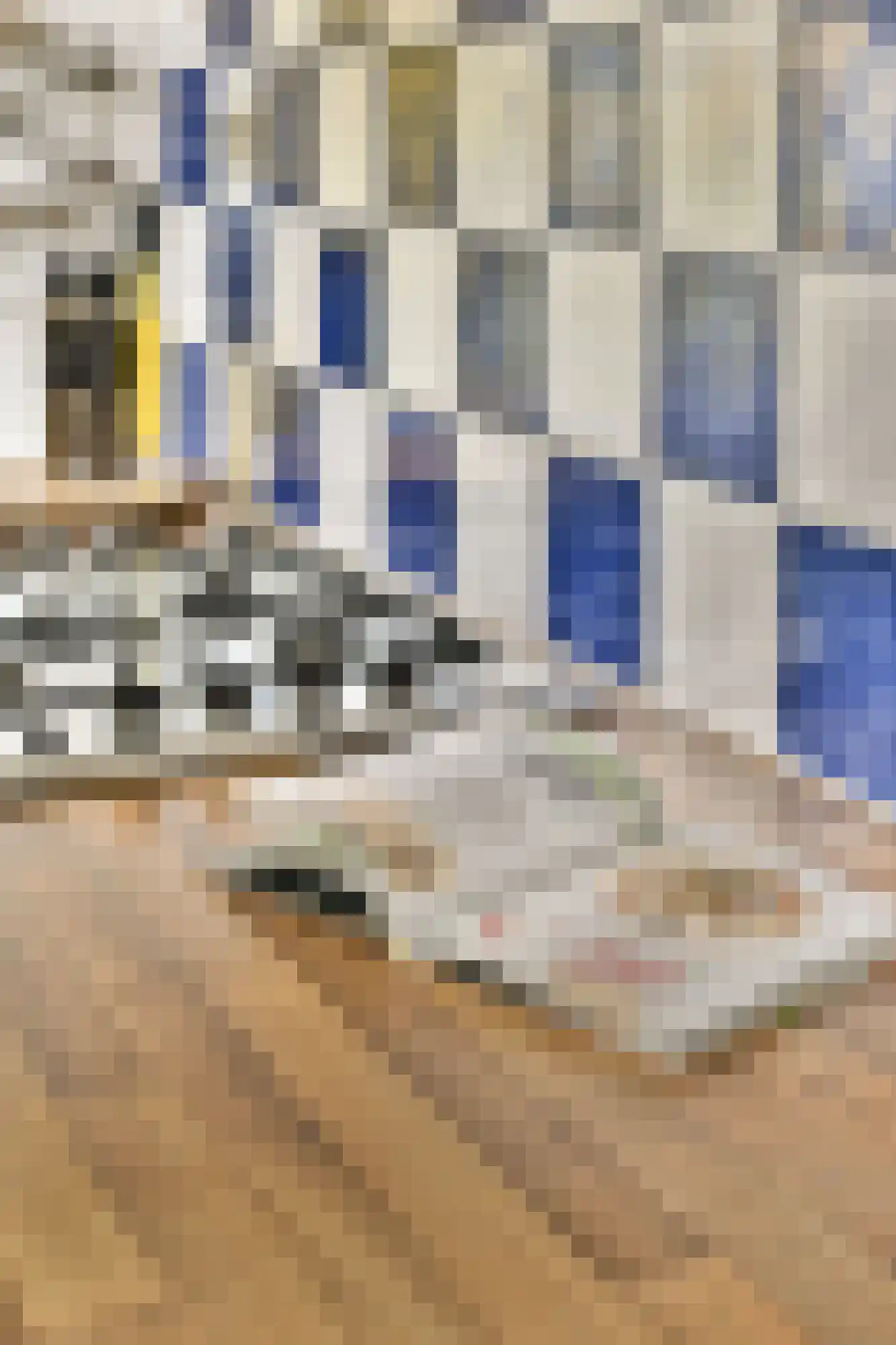 Albert Neuhuysstraat 30 1 Amsterdam thumbnail 12