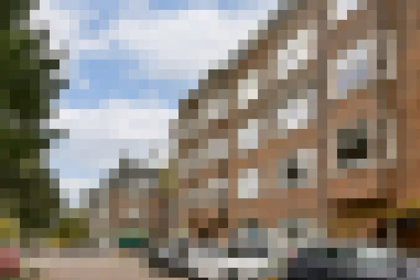 Albert Neuhuysstraat 30 1 Amsterdam thumbnail 25