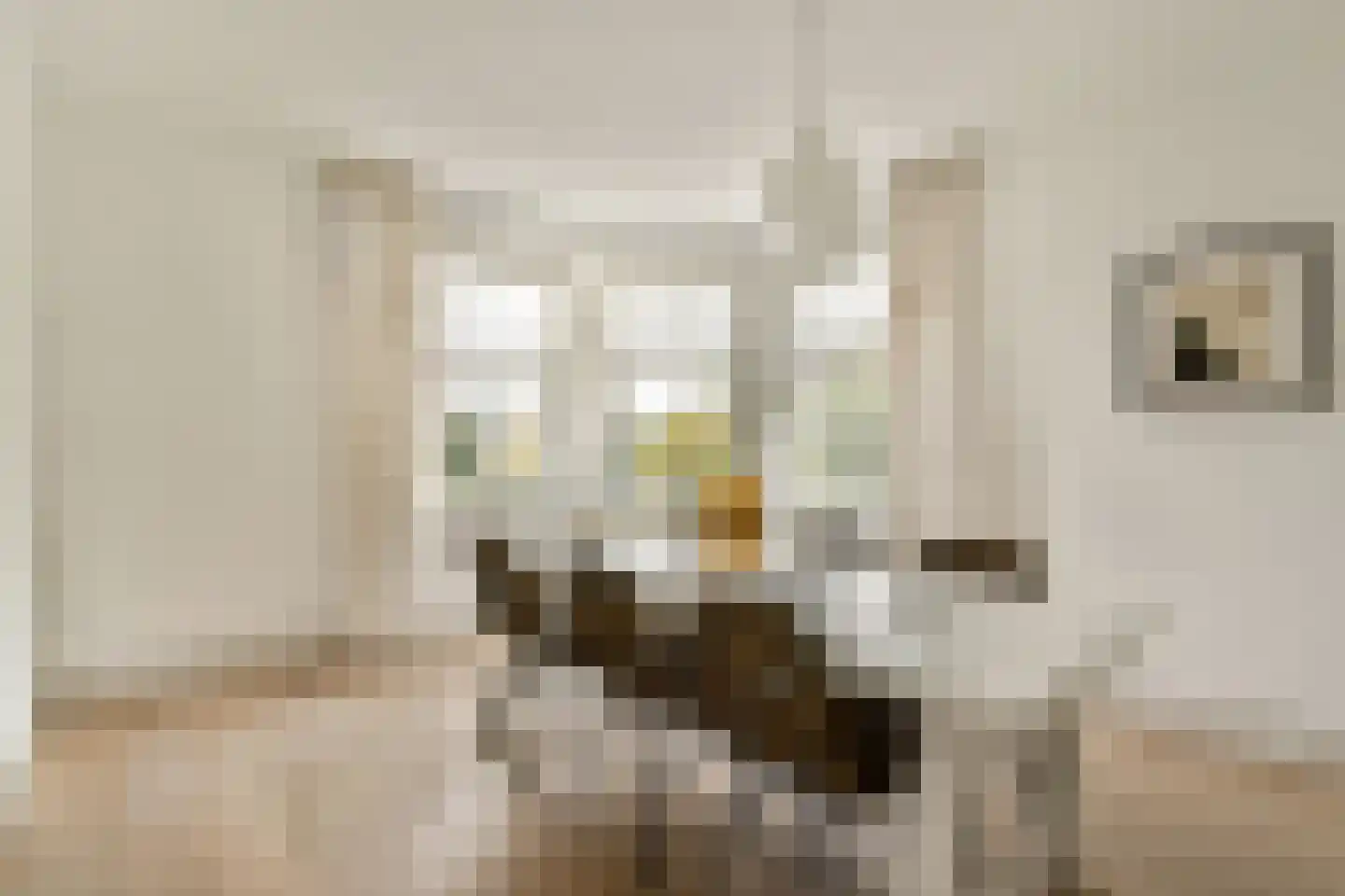 Albert Neuhuysstraat 30 1 Amsterdam thumbnail 7