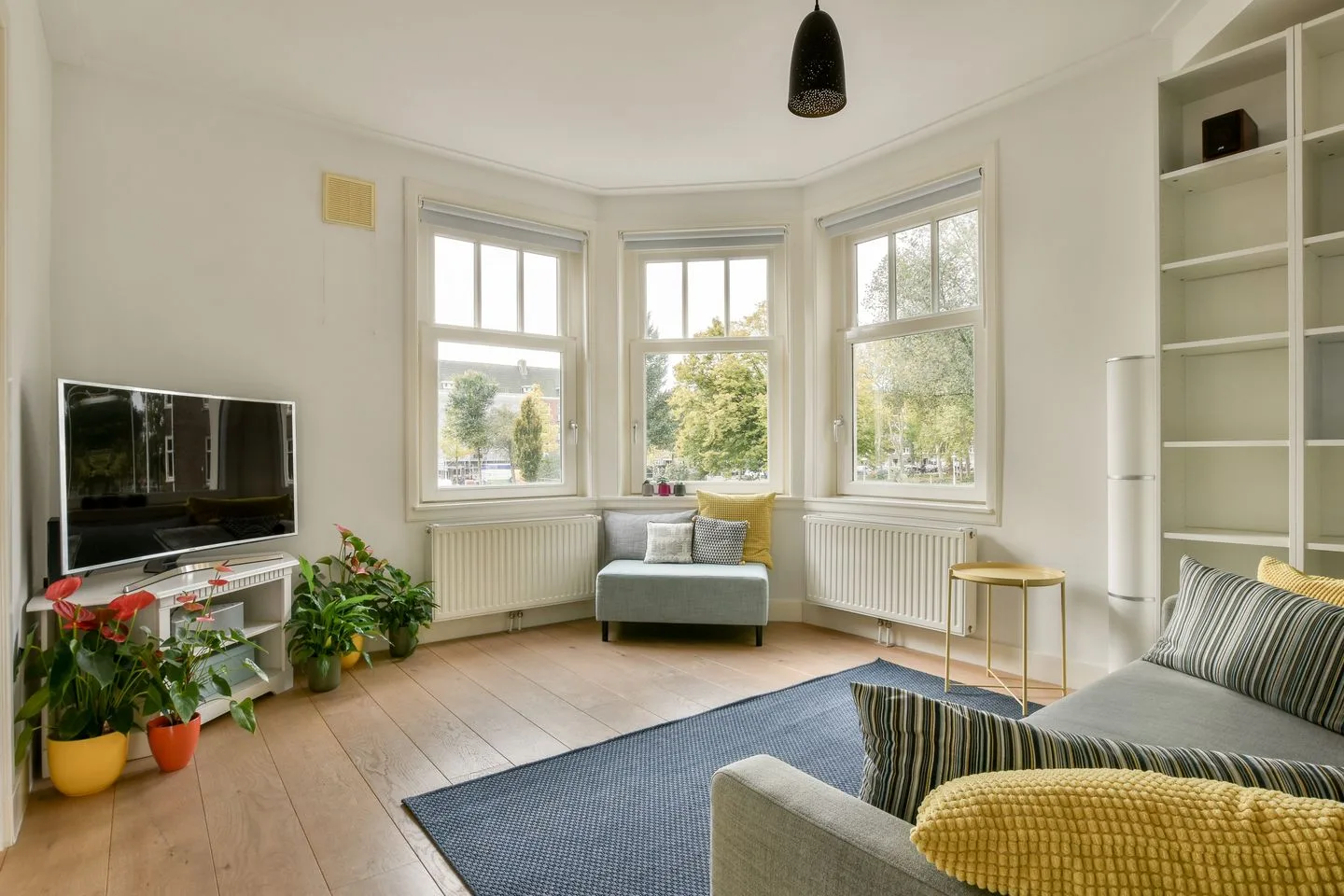 Albert Neuhuysstraat 30 2 Amsterdam thumbnail 8