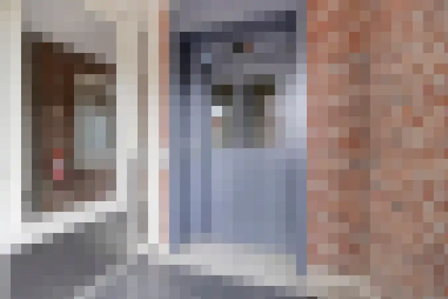 Albert Neuhuysstraat 30 Baarlo thumbnail 28
