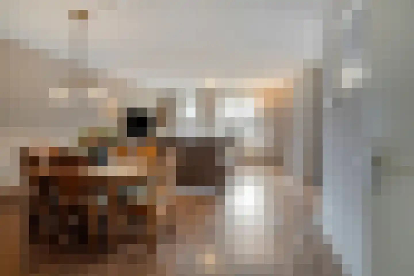 Albert Neuhuysstraat 30 Baarlo thumbnail 8