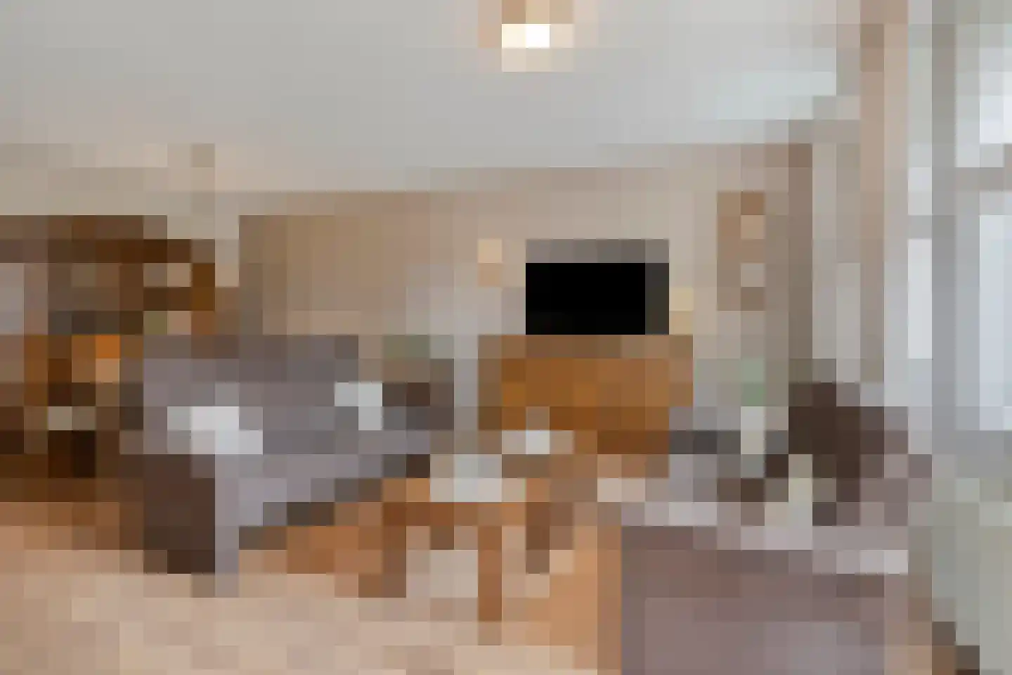 Albert Neuhuysstraat 30 Baarlo thumbnail 9