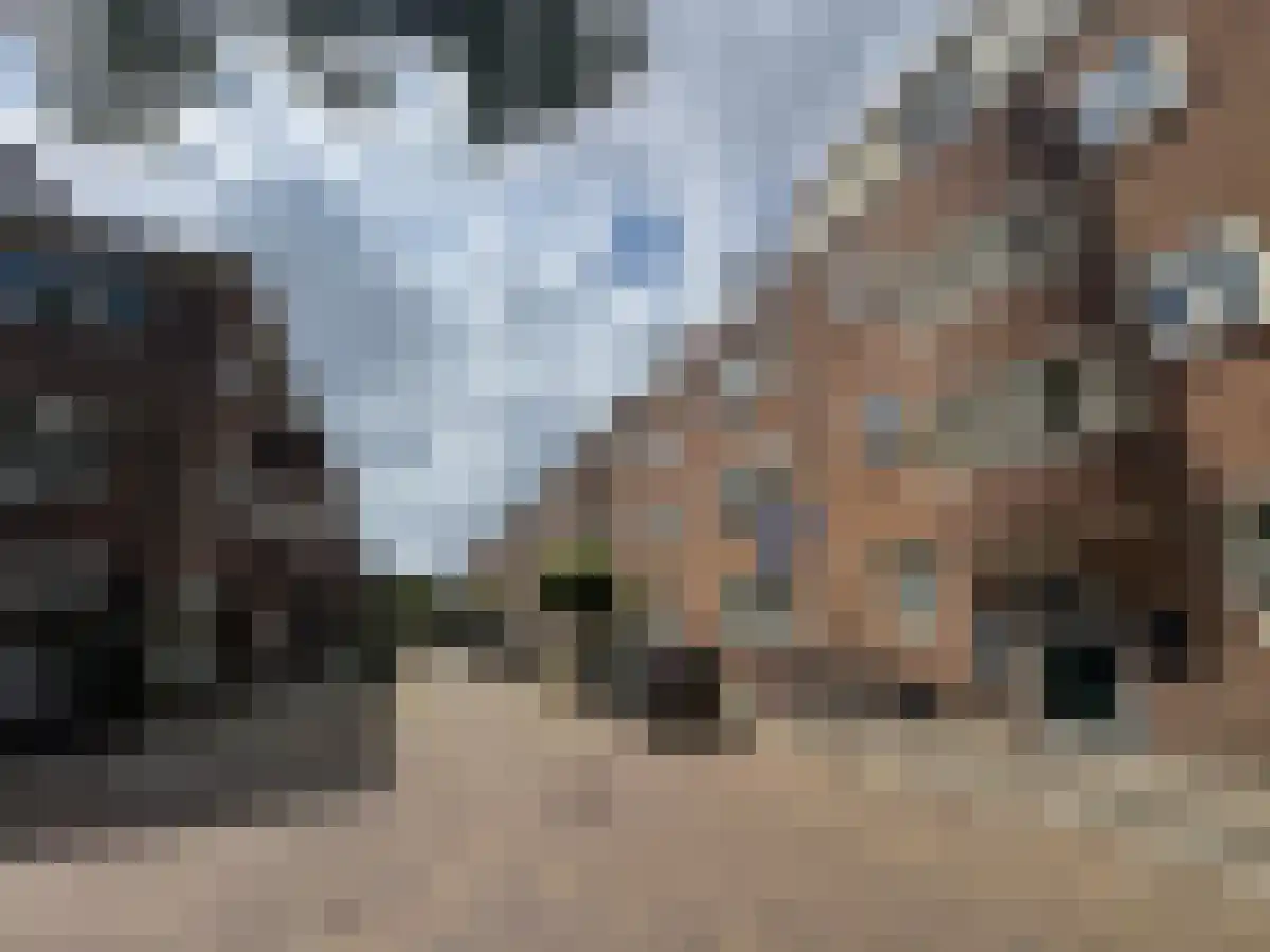Albert Neuhuysstraat 33 Utrecht thumbnail 5
