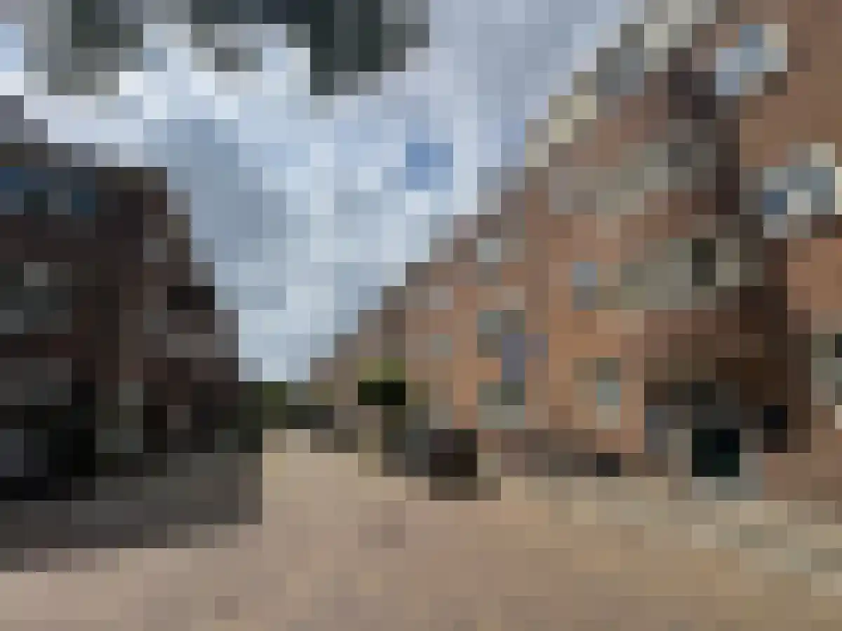 Albert Neuhuysstraat 33 Utrecht thumbnail 6